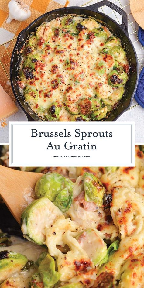 This EASY Brussels Sprouts Au Gratin recipe brings together healthy Brussels sprouts with savory and salty bacon and a creamy cheese sauce! Cheesy Brussels Sprouts, Brussel Sprout Casserole, Brussel Sprout Recipe, Brussel Sprouts Recipes Easy, Sprout Recipe, Brussels Sprouts Gratin, Au Gratin Recipes, Holiday Sides, Sprout Recipes