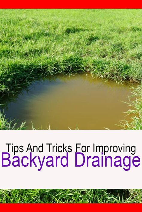 Diy Drainage Ditch Landscaping, Water Diversion Ideas, Catch Basin Drainage, Drainage Solutions Backyard, Rock Drainage, Garden Drainage, Sump Pump Drainage, Level Yard, Drainage Ideas