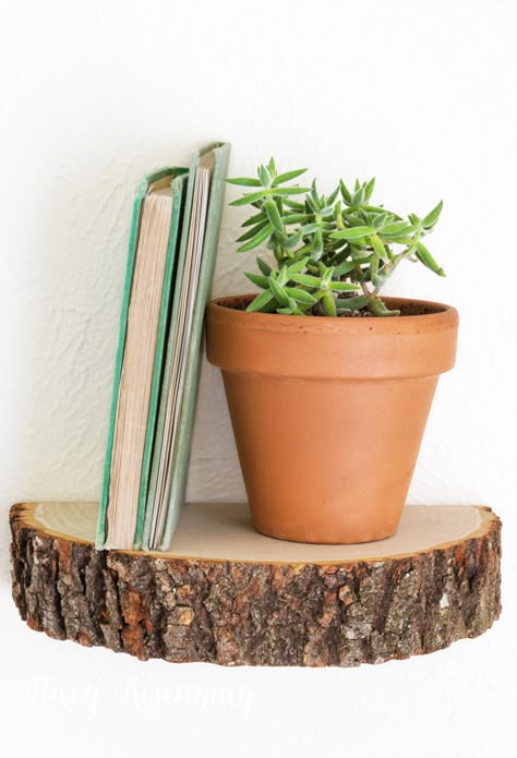 We love this- a wonderful use of a beautiful piece of wood!  Decorative and functional!    #americanhardwood #naturaldecor #accessorize Tree Stump Ideas, Stump Ideas, Wood Stumps, Tree Stumps, Woodworking Patterns, Diy Holz, Tree Trunks, Wooden Shelf, Tree Stump