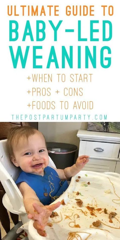 Baby Led Weaning First Foods, Weaning Foods, Baby Led Feeding, First Foods, Baby Cereal, Baby Led Weaning Recipes, Baby First Foods, Weaning Recipes, Baby Weaning