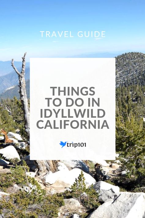 Top 10 Things To Do In Idyllwild, California: Enjoy Breathtaking Sights  Find yourself among the top attractions in all of California! Idyllwild really is a Southern California location unlike any other, with state staples like Mount San Jacinto State Park, Middle Ridge Winery, and Lake Fulmor! No matter what you’re looking for, Idyllwild can deliver an experience unlike any other! Idlewild California, Roadtrip Ideas, California Places To Visit, Idyllwild Ca, California Camping, Thanksgiving Break, California Girl, San Jacinto, California Love