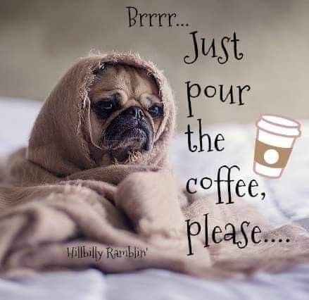 Need Coffee Humor Hilarious, Need Coffee Humor, Coffee Humor Hilarious, Funny Tuesday, Tuesday Coffee, Mood Coffee, Funny Coffee Quotes, Coffee Obsession, Coffee Pictures