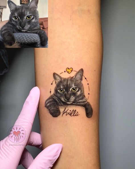 •Küllü 💛 . . . #cat #catlover #tattoo #catportrait #petlovers #tattoink #bestfriends #kitty #paw #cattattoo #gray | Instagram Cat Portrait Tattoo, Tattoo Gato, Cat Portrait Tattoos, Tribute Tattoos, Gray Instagram, Tattoos Arm, Snake Drawing, Cat Tat, Tattoo Zeichnungen