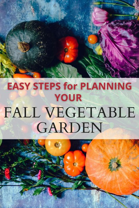 Planting In September Zone 8, Zone 8 September Planting, What To Plant In September In Texas, Fall Winter Garden Zone 8, Fall Planting For Zone 8, Zone 8 Fall Garden, When To Plant Pumpkins, Zone 9 Gardening, Garden Zones