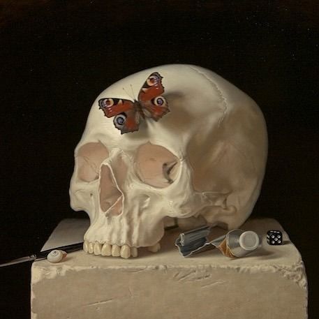 Alex Callaway (@alex.callaway) • Instagram photos and videos Memento Mori Art, Vanitas Paintings, Skull Reference, Life Drawing Reference, Rennaissance Art, Skull Painting, New Painting, Still Life Drawing, Human Skull