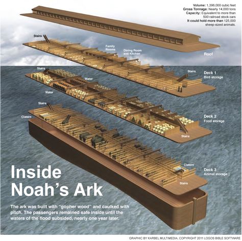 Family Worship Night, Woord Van God, Family Worship, Noah S Ark, Bible History, Ayat Alkitab, Bible Facts, Noah's Ark, Scripture Study