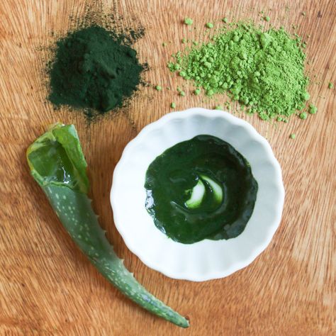 Nourishing Matcha Face Mask Recipe Acne Face Mask Recipe, Matcha Face Mask, Aloe Vera Uses, Te Matcha, Diy Turmeric Face Mask, Green Tea Face, Turmeric Face Mask, Tumeric Face Mask, Acne Face Mask