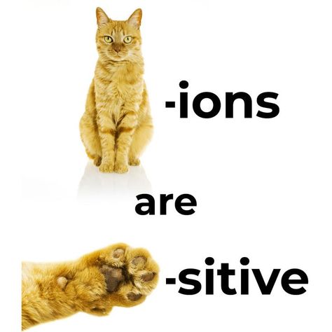 Sometimes it can be hard to remember which is positive and which is negative, a cation or an anion. Now you know how to remember: cat-ions are paw-sitive! #chemistrypun #sciencejokes #physicsmeme #chemistrymajor Science meme | Physics humor | Chemistry joke Biology Jokes, Physics Jokes, Biology Memes, Biology Humor, Nerd Memes, Nerdy Jokes, Physics Memes, Nerdy Humor, Studying Memes