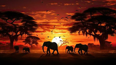 African Sunset Painting, African Wild Animals, Safari Sunset, Geometric Elephant, African Sunset, Animal Safari, African Paintings, Forest Adventure, African Art Paintings