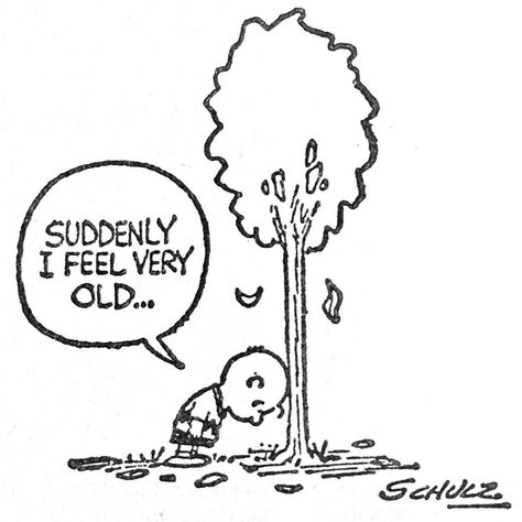 Charles Shultz, Charlie Brown Quotes, Woodstock Snoopy, Snoopy Comics, Lucy Van Pelt, Snoopy Cartoon, Cartoon Strip, Peanuts Cartoon, Snoopy Quotes