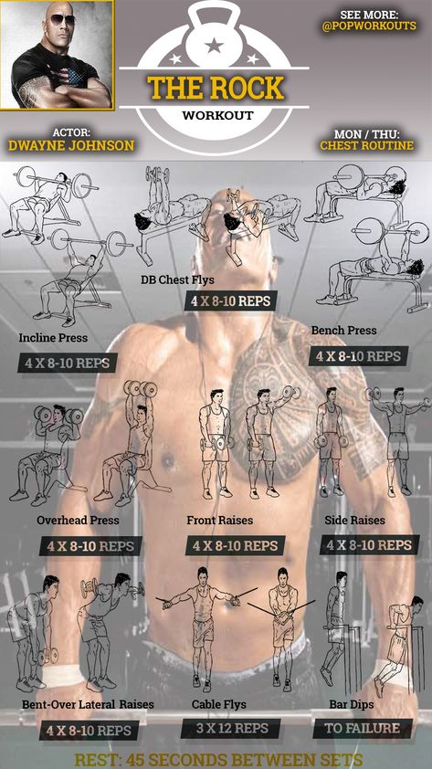 The Rock Chest Routine Rock Workout, The Rock Workout, Fit Bodies, Shoulder Exercises, Muscle Abdominal, Arm Workouts, Arm Exercises, Workout Exercises, Training Workouts