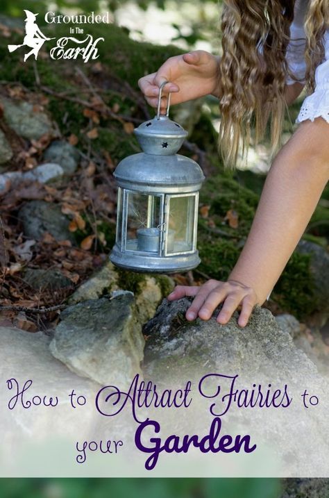 How To Attract Fairies, Faery Witchcraft, Fairy Jungle, Attract Fairies, Garden Spells, Witchy Garden, Real Life Fairies, Real Fairies, Magic Books