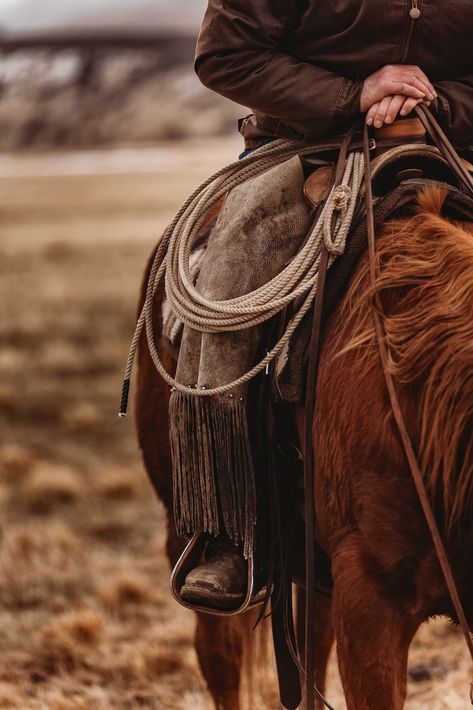 One Life To Live, Cowgirl Photo, Beautiful Horses Photography, Cowboy Pictures, Cowboy Aesthetic, Western Photography, Eastern Oregon, Farm Photography, Western Lifestyle