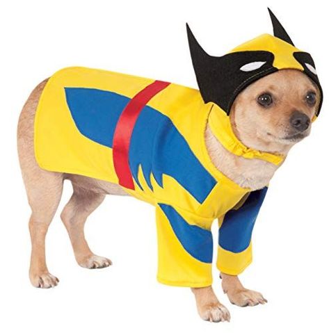 Marvel Universe Wolverine Dog Costume • These Superhero Dog Costumes for Halloween highlight the heroic qualities that our dogs show every day - a lot of love, bravery and determination. #DogCostume #Halloween Wolverine Costume, Superhero Halloween Costumes, Superhero Halloween, Pet Halloween Costumes, Wolverine Marvel, Dog Halloween Costumes, Halloween Snacks, Halloween Cupcakes, Dog Costumes