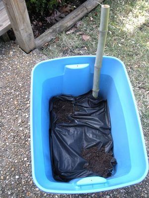 A gardener shares how he created low-cost self-watering containers. Plus, a Web link to step-by-step guide for the project. Tote Gardening, Diy Self Watering Planter, Self Watering Containers, Plastic Storage Totes, Self Watering Plants, Plants In Bottles, Vegetable Garden Raised Beds, Storage Totes, Garden Herbs