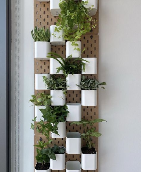 Pegboard Plants, Skådis Ikea, Bottle Garden, Plant Lady, Ikea Hack, Indoor Garden, Hanging Plants, Garden Wall, Declutter