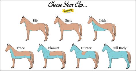 Common clipping patterns for the winter. Make sure to use ShowSheen liberally before you clip - it'll make the experience smoother and the results will be better! #clipping #Absorbine #ShowSheen Horse Body Clipping, Snowflake Coloring Pages, Horse Paddock, Horse Clipping, Horse Videos, Horse Tips, Horse Pattern, Horse Health, Horse Life