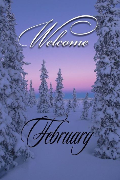 Happy New Month Quotes, February Images, Welcome February, New Month Quotes, Bible Questions, Seasons Months, Monthly Quotes, Morning Memes, Year Quotes