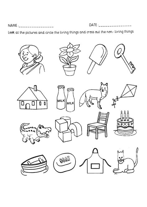 Living Things Worksheet Kindergarten, Non Living Things, Living And Nonliving, Worksheet Kindergarten, Worksheet For Kindergarten, Work Sheet, Science Worksheets, Living Things, Kindergarten Worksheets