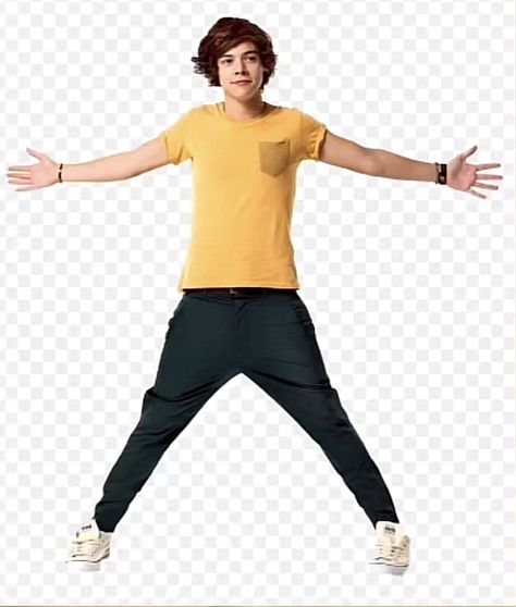 Harry Styles Full Body Picture, Full Body Picture, Body Picture, Full Body, Harry Styles, Celebrities