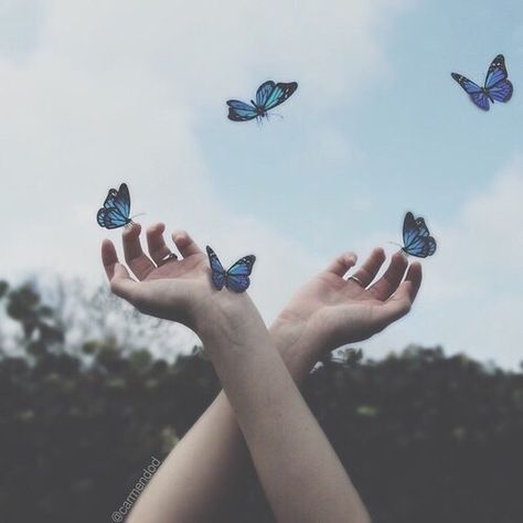 Imagem de butterfly, blue, and sky Ravenclaw Aesthetic, Chloe Price, Everything Is Blue, Light Blue Aesthetic, Hipster Grunge, Bellatrix Lestrange, Blue Butterflies, Images Esthétiques, Life Is Strange