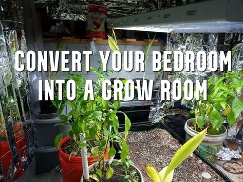 Convert Your Bedroom into a Grow Room | GrowAce.com Grow Room Setup Indoor, Basement Grow Room, Grow Room Ideas Indoor, Grow Tents Indoor, Indoor Grow Room, Plant Space, Herb Diy, Growing Seedlings, Grow House