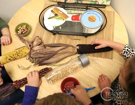 Corn Sensory Bin, Corn Activity, Flint Corn, Preschool Fine Motor Skills, Fall Farm, Preschool Fall, Nature Studies, Popcorn Kernels, Classroom Birthday