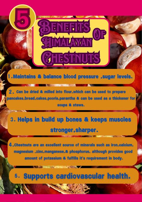 5 benefits of Himalayan chestnuts 🌰🌰 
#himalayan#chestnuts#goodness#benefits#excellent#source#proteins#energy#loaded#with#essential#nutrients Essential Nutrients, Cardiovascular Health, Blood Pressure, Himalayan, Soups And Stews, Chestnut, Health Benefits, Healthy Life, Benefits