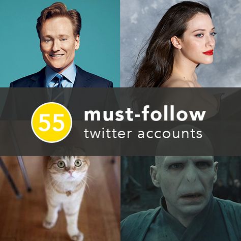 55 Must-Follow Twitter Accounts Guaranteed to Make Your Day | Greatist