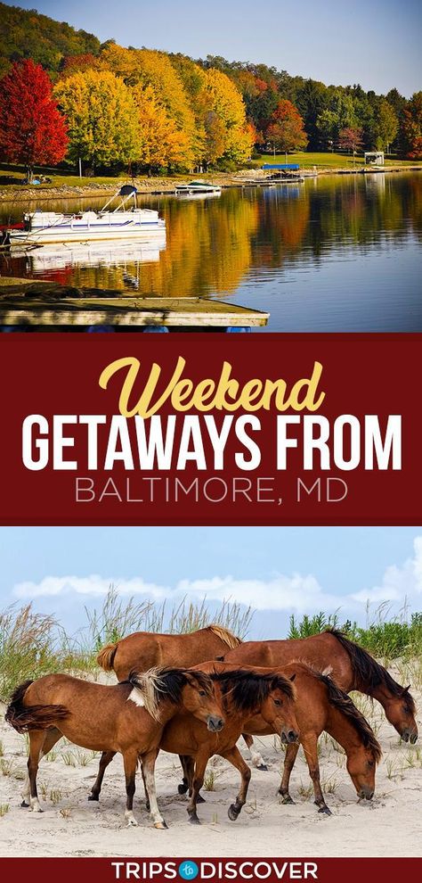 6 Best Weekend Getaways From Baltimore, Maryland Baltimore Maryland Fall, Maryland Weekend Getaway, Day Trips From Baltimore, Fun Things To Do In Maryland, Fall In Maryland, Baltimore Trip, Texas Vacation Spots, Cheap Weekend Getaways, Texas Weekend Getaways