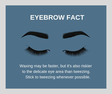 Brow Facts, Brow Quotes, Makeup Quotes, Eye Area, Eyebrows, Lashes, Makeup, Quotes, Make Up