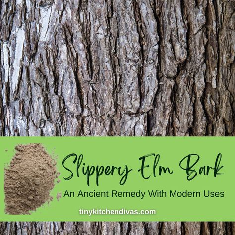 How To Use Slippery Elm Powder, Slippery Elm Bark Benefits, Slippery Elm Benefits Women, Slippery Elm Benefits, Whipped Soap Diy, Slippery Elm Powder, Human Digestive System, Native American Food, Slippery Elm Bark