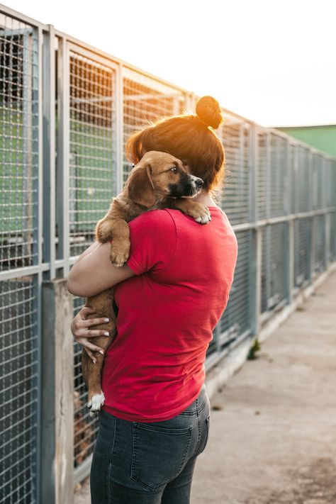 Animal Rescue Shelter, Volunteering At Animal Shelter, Animal Volunteering Aesthetic, Animal Shelter Photoshoot, Animal Shelter Photography, Dog Shelter Volunteer, Animal Rescue Volunteer, Volunteering Animal Shelter, Volunteer Work Aesthetic Animals