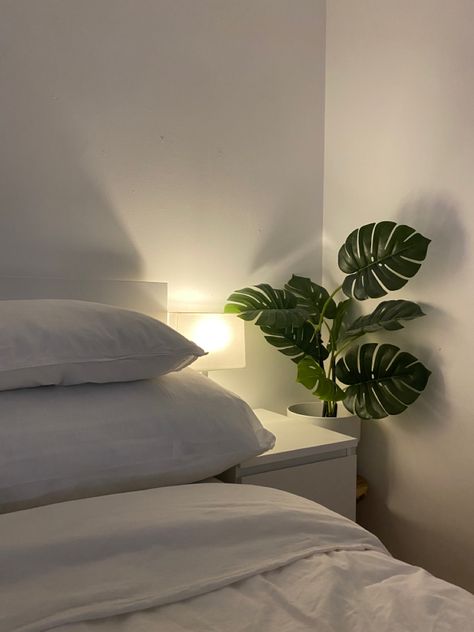 white pillows and bedsheets, monstera plant and light, aesthetic vibe bedroom Monstera In Living Room, Monstera Bedroom, Monstera Aesthetic, White Bedsheets, Minimalist Plants, Bed Aesthetic, Warm Minimalism, Boho Apartments, Aesthetic Ig