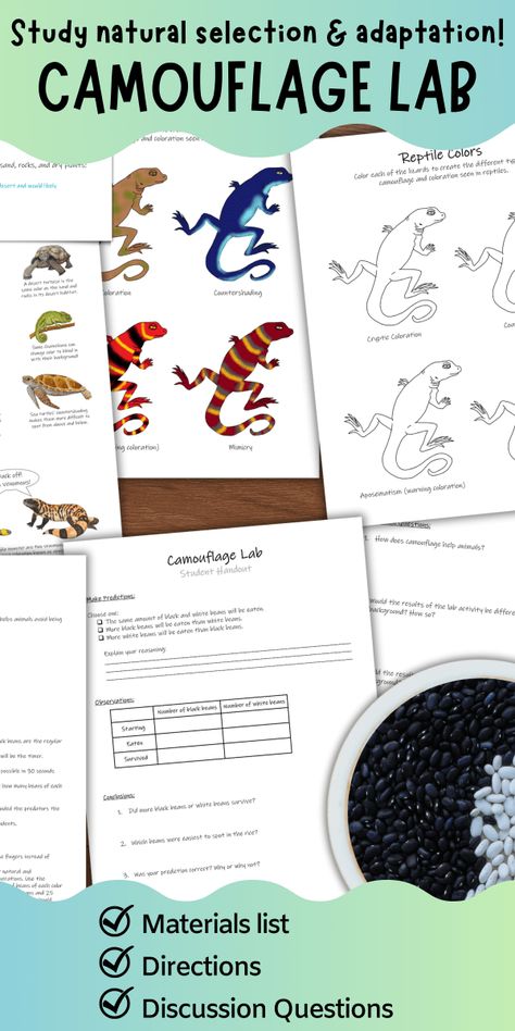 Camouflage Lab: try this simple science activity in your classroom to learn about animal adaptations! Zoology Project Ideas, Animal Adaptations Experiments, Animal Classification Activity, Animal Adaptations Activities, Earth Science Classroom, Adaptations Activities, Animal Adaptation, Biology Lab, Land Animals