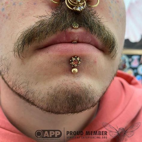 piercing, tattoo • Instagram Tattoo Instagram, Gold Body Jewellery, Labret Piercing, Piercing Tattoo, Wren, Alchemy, Beautiful Jewelry, Piercings, Onyx