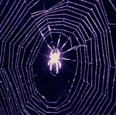 Tumblr Aesthetic, Spider Web, I Hope, Tumblr, Purple