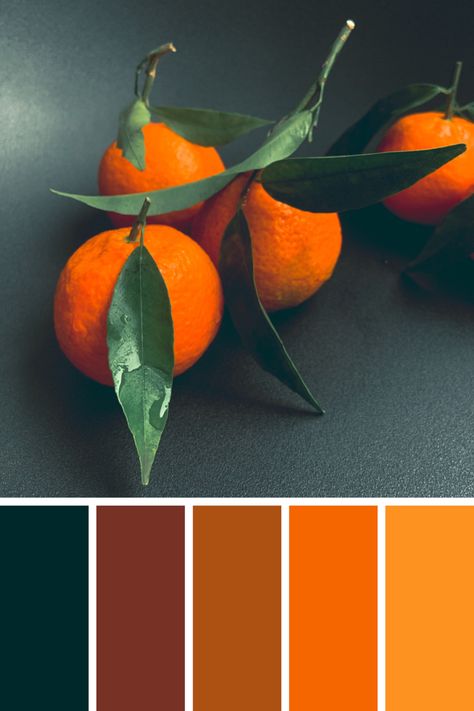 Complementary Colors Palette, Tangerine Color Palette, Color Palette Inspiration, Contour Makeup Tutorial, Orange Color Palettes, Tangerine Color, Palette Inspiration, Room Color Schemes, Tangerine Orange