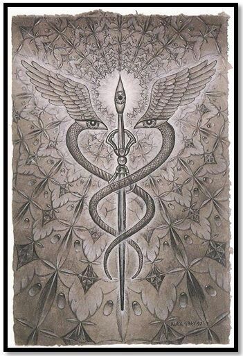 The CADUCEUS, universal medical symbol. It is also the staff of HERMES and (Tut)moses. This symbol represents the awakened KUNDALINI also known as the DIVINE SERPENT or NAGA. / Sacred Geometry <3 Alex Gray Art, Arte Occulta, Alex Grey, Medical Symbols, Esoteric Art, Psy Art, Art Ancien, Occult Art, Ancient Symbols