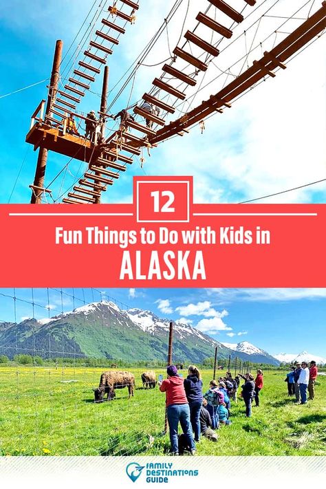 Alaska Travel Summer, Alaska Family Vacation, Alaska Camping, Alaska Summer, West Coast Travel, Family Summer Vacation, Visit Alaska, Alaska Adventures, Alaska Vacation