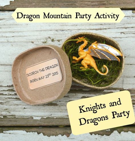 Knights And Dragons Party, Knight Training, Mountain Party, Dragon Mountain, Knights And Dragons, Spray Paint Plastic, Dragon Born, Dragon Birthday Parties, Knight Party