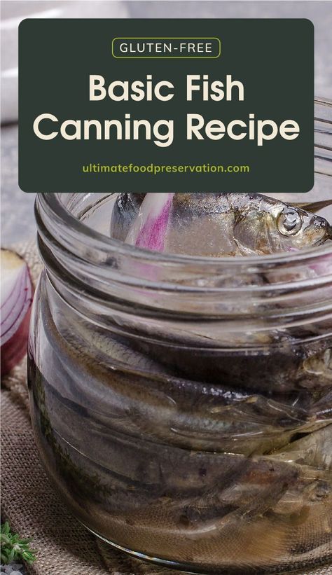 Want to learn how to can fish at home? Try this easy homemade canned fish recipe that's perfect for beginners at canning. This pressure canning recipe can be applied to any fish of your choice and only requires 3 simple ingredients. | More canning recipes at ultimatefoodpreservation.com #cannedfish #canningfish #pressurecanner #canningforbeginners Canning Fish, Canned Fish Recipes, Homestead Canning, Water Bath Canning Recipes, Homestead Recipes, Pressure Canning Recipes, Canned Fish, Survival Foods, Canned Fruits