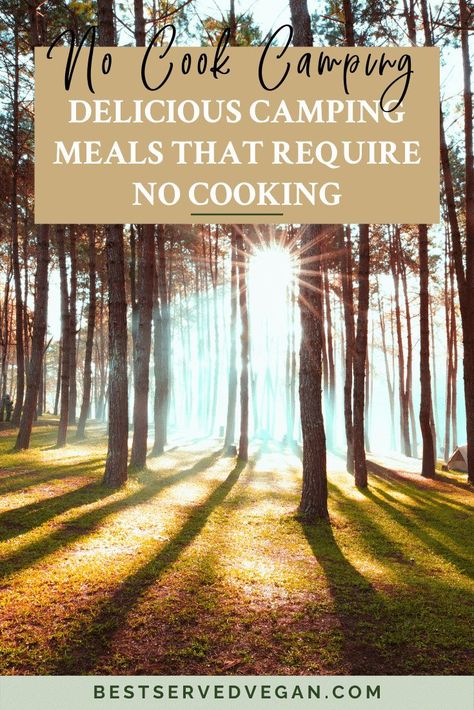 Save time and energy with these no-cook camping meals! These breakfast, lunch, dinner, and snack ideas are all simple, make-ahead camping meals that require no cooking. You can spend more time on the trails enjoying the outdoors and not have to worry if you don't have a campfire. Head to Best Served Vegan for over 15 camping easy camping food options! Healthy Camping Snacks, Camp Food Ideas Make Ahead, Meals No Refrigeration, Food To Take Camping, Easy Camping Food, Vegetarian Camping Recipes, Vegetarian Camping, Camping Food Make Ahead, Camping Meal Planning