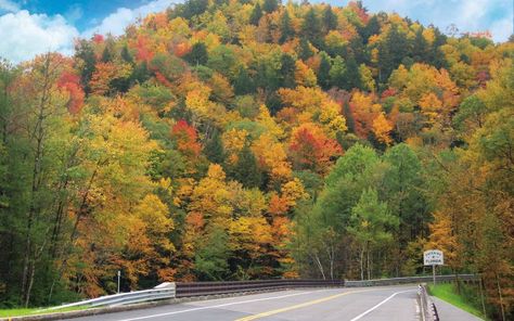 New England Fall Foliage trips Fall Foliage Trips, Bus Trip, New England States, Road Trip Routes, New England Fall, Scenic Roads, States In America, Scenic Byway, Historical Landmarks