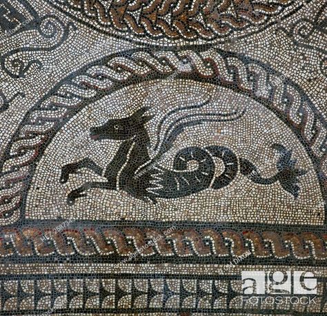 Roman Mosaic Art, Dolphins Mosaic, Islamic Mosaic, Floor Mosaic, Dark Beach, Byzantine Mosaic, Roman Mosaic, Mosaic Floor Tile, The Royal Palace