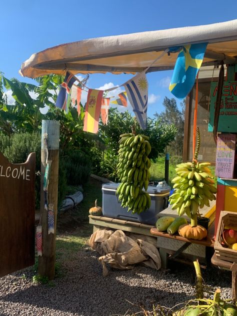 Hawaiian food stand selling fresh tropical fruits, hawaiian aesthetic. Hawaiian Home Aesthetic, Hawaiian Summer Aesthetic, Hawaiian Culture Aesthetic, Tropical Fruit Aesthetic, Hawaiian Tropic Aesthetic, Backpacking Hawaii, Islander Aesthetic, Tropical Core Aesthetic, Aloha Aesthetic