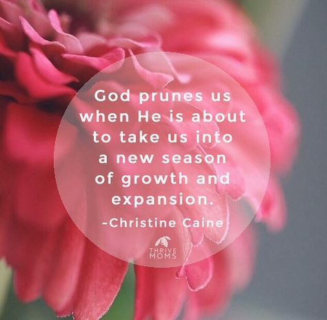 God prunes us when He is about to take us into a new season of growth and expansion. Pruning Season Quotes, Pruning Season God, Father Son Holy Spirit, Season Quotes, Christine Caine, Daily Journal Prompts, God's Promises, Us When, Daily Encouragement