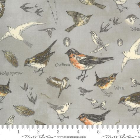 Birds Nature - Vintage Grey - Material Obsession Moda Fabric Collections, Different Birds, Novelty Fabric, Fabric Birds, Fabric Yardage, Bird Drawings, Coordinating Fabrics, Moda Fabrics, Grey Floral