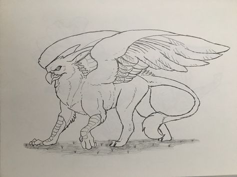 Your average gryphon. Or, if you're a Harry Potter fan, Buckbeak. Harry Potter Hypogriff, Griffin Drawing Easy, Buckbeak Drawing, Buckbeak Harry Potter, Griffin Drawing, Griffin Tattoo, Mythical Creatures Drawings, Composition Drawing, Peace Sign Art