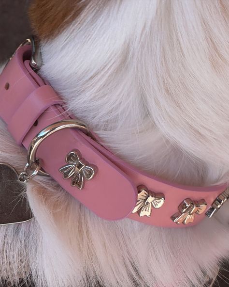 a few pieces left from the cutest collab evr🎀🦴🐆 Human Dog Collar, Chihuahua Collar, Pink Dog Collar, Bow Coquette, Pink Dog, Jewelry Companies, Dog Accessories, Dog Collar, The Cutest